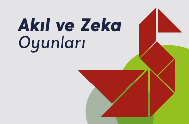 Akıl ve Zeka Oyunları